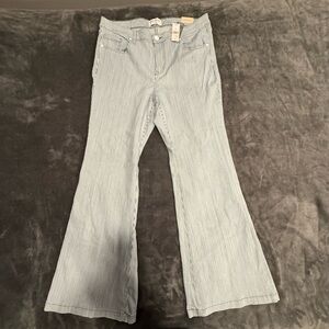 Lane Bryant Striped Blue Jeans